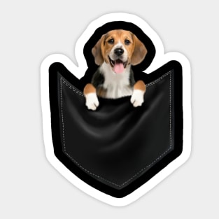 Beagle Dog inside Pocket, Love Beagle Dogs Sticker